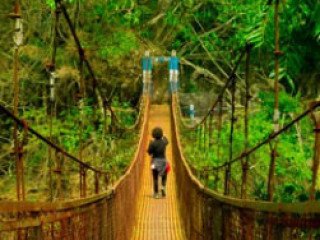 Book the Ideal North East Tour Package to Explore Assam, Meghalaya & Arunachal Pradesh