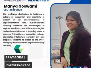 AI-Driven Digital Marketing Course in Prayagraj with Certification | NDMIT