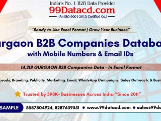 Get Complete List of Companies in Gurgaon- B2B Database
