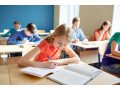 online-tutors-in-gurgaon-for-school-and-college-subjects-small-0