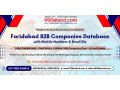 get-verified-list-of-companies-in-faridabad-b2b-database-small-0