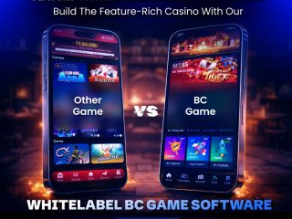 BC Clone App to Create a Feature-Rich Crypto Casino Platform