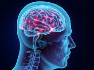 Brain Hemorrhage Treatment Cost with Expert Care | IR Facilities