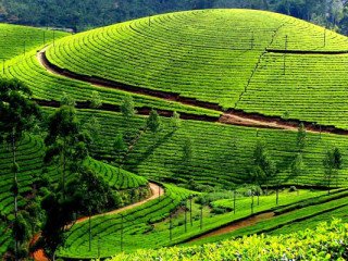 Affortable taxi in madurai