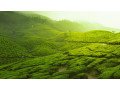 south-india-tours-and-travels-small-0