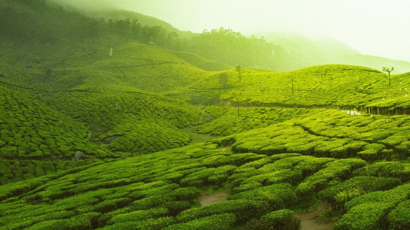 south-india-tours-and-travels-big-0