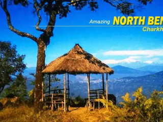 North Bengal Package Tour: Visit Darjeeling, Dooars, and Hidden Gems