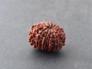 Updated 12 Mukhi Rudraksha Price for Strength and Power