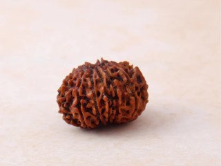 Know 13 Mukhi Rudraksha Price for Desire and Fulfillment