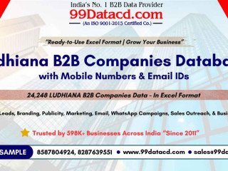 Download List of Companies in Ludhiana– 100% Business Leads Ready