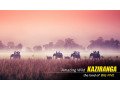 premium-kaziranga-tour-package-from-guwahati-explore-the-wild-heart-of-assam-small-0