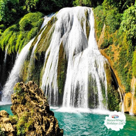 experience-the-wonders-of-northeast-india-premium-north-east-tour-package-big-0