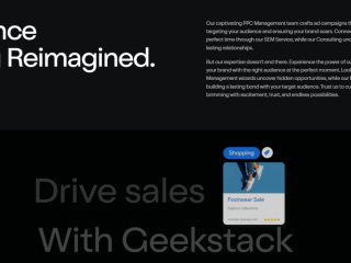 Performance Marketing Services in India Geekstack