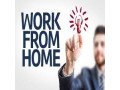 work-from-home-data-entry-opportunity-small-0