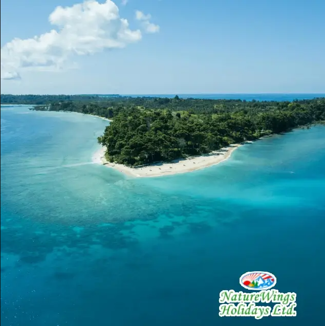 andaman-tour-packages-from-kolkata-best-time-to-visit-for-an-unforgettable-holiday-big-0