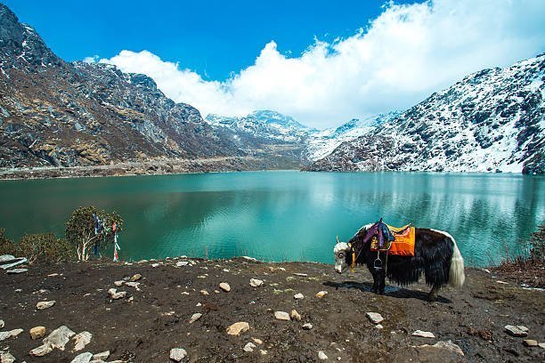 best-north-sikkim-package-5-nights-6-days-gangtok-lachen-lachung-tour-big-0