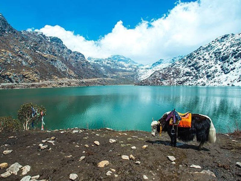 best-north-sikkim-package-5-nights-6-days-gangtok-lachen-lachung-tour-small-0