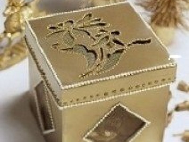abhya-tablet-herbal-product-for-abdominal-distension-skin-disorders-pilesheart-disease-small-0