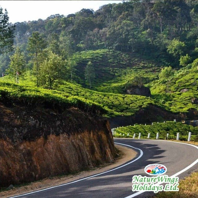 kerala-tour-packages-for-romantic-getaways-honeymoons-big-0