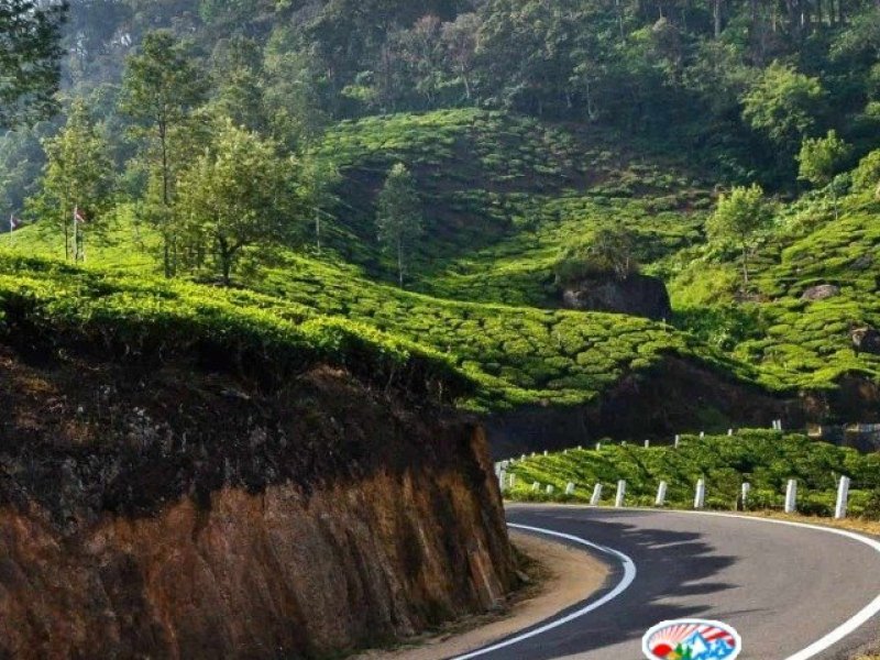 kerala-tour-packages-for-romantic-getaways-honeymoons-small-0