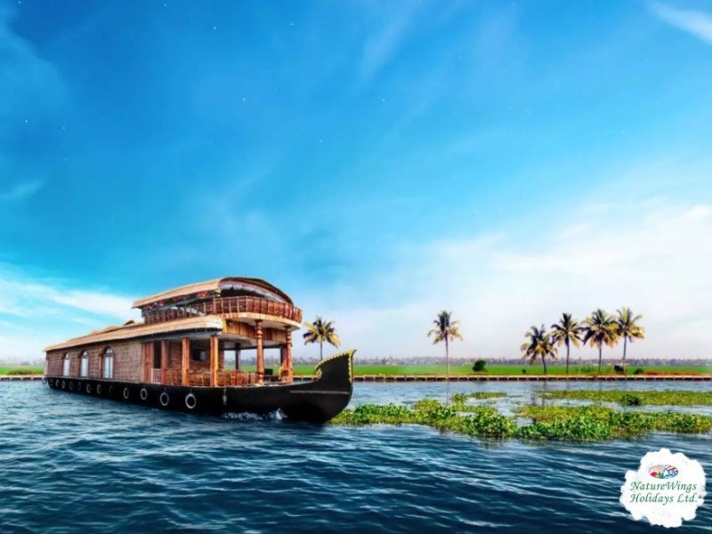 kerala-tour-package-discover-keralas-backwaters-beaches-hills