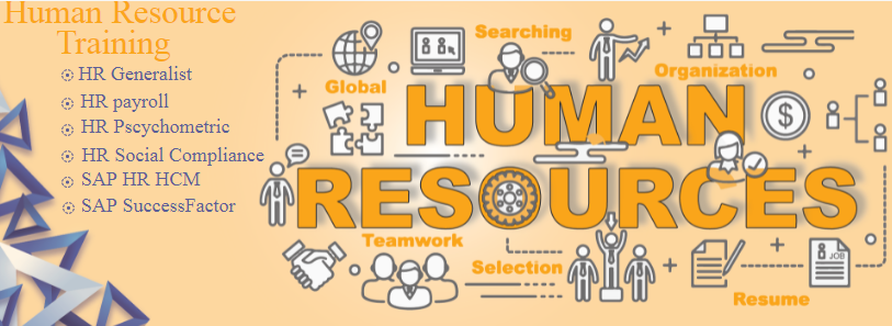 hr-training-in-delhi-free-sap-hcm-hr-analytics-with-ai-ms-power-bi-by-sla-consultants-india-big-0
