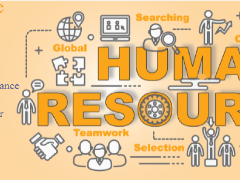 hr-training-in-delhi-free-sap-hcm-hr-analytics-with-ai-ms-power-bi-by-sla-consultants-india