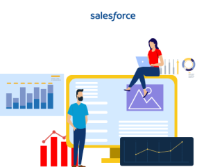 Salesforce Development Company In India