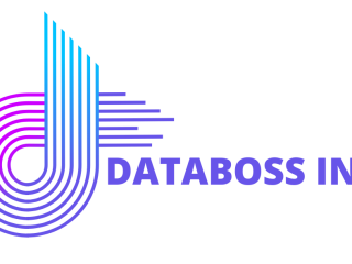 Databoss Inc.