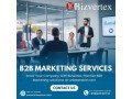 bizvertex-redefining-b2b-marketing-for-companies-that-mean-business-small-0