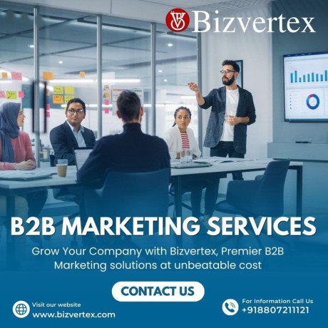 bizvertex-redefining-b2b-marketing-for-companies-that-mean-business-big-0