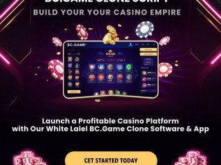 Build a Successful Crypto Casino with a BC.Game Clone App