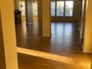 Renew Hardwood Floors
