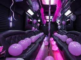 brooklyn-party-bus-rental-staten-island