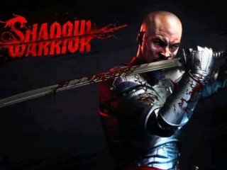 Shadow Warrior Laptop  Desktop Computer Game.