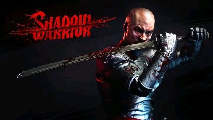 shadow-warrior-laptop-desktop-computer-game-big-0