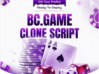 Launch Like BC.Game Using Clone Script – Free Consultation for Startups