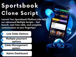 Get White-Label Sportsbook Clone Software At Low Cost