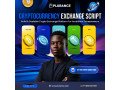 powerful-cryptocurrency-exchange-script-for-instant-deployment-small-0
