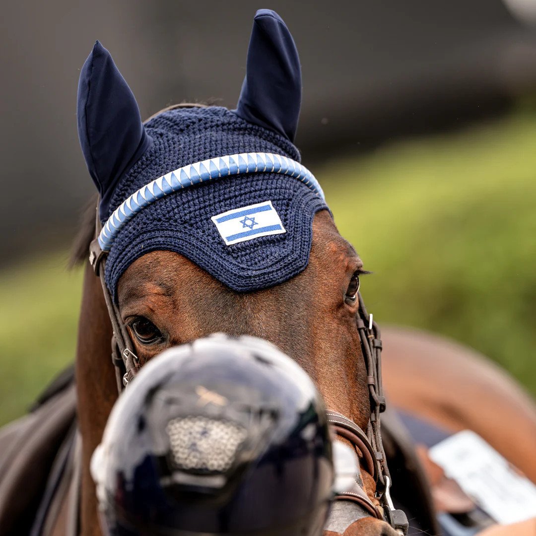 horse-bonnets-for-sale-stylish-protective-equestrian-gear
