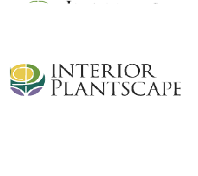interior-plantscapes-big-0