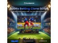 sports-betting-clone-script-your-custom-sports-betting-powerhouse-small-0