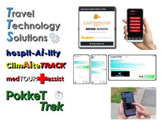 Entry into High Velocity Markets: Travel and Insurance Technologies