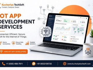 Custom IoT Application Development Solutions