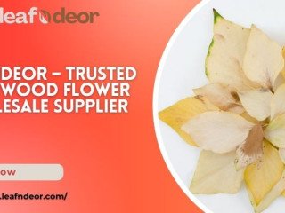 LeafnDeor – Trusted Sola Wood Flower Wholesale Supplier