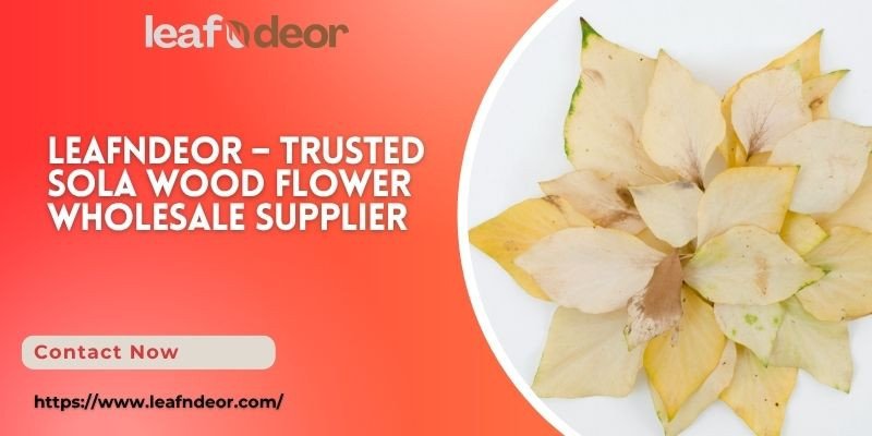 leafndeor-trusted-sola-wood-flower-wholesale-supplier-big-0