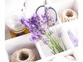 pcos-infertility-diet-in-usa-small-0