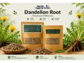dandelion-root-tea-benefits-uses-wellness-guide-small-0