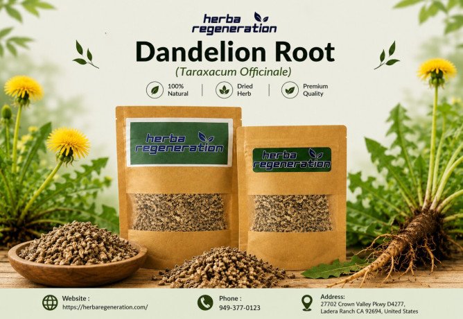 dandelion-root-tea-benefits-uses-wellness-guide-big-0