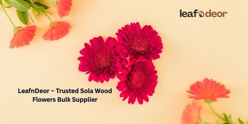 leafndeor-trusted-sola-wood-flowers-bulk-supplier-big-0